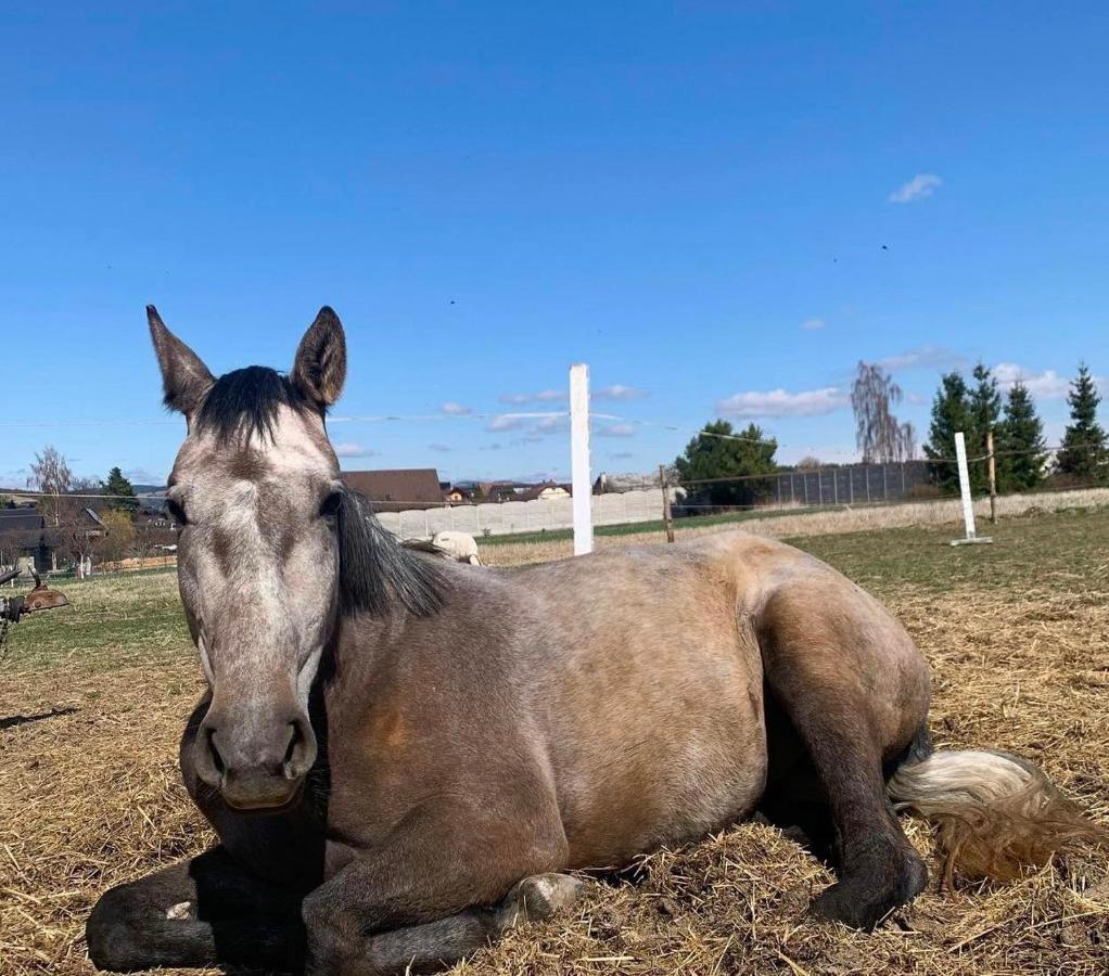 Hotel Agro privat Hrabušice Esterno foto